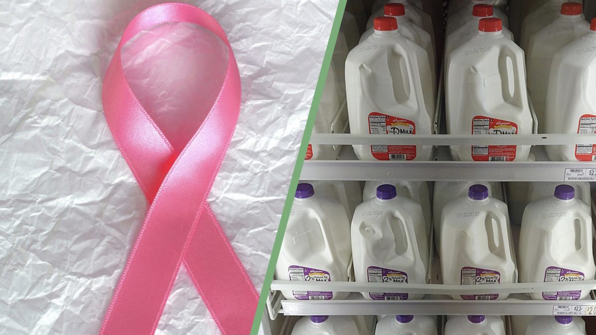 Cow Cancer Virus Implicated in Breast Cancer