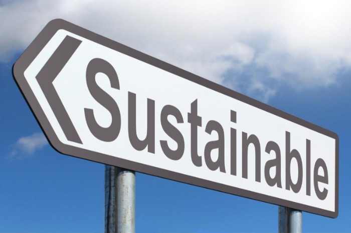 How to Make Your Company Sustainable